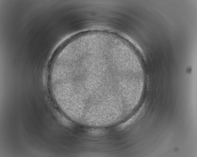 X0000116481021201001201338