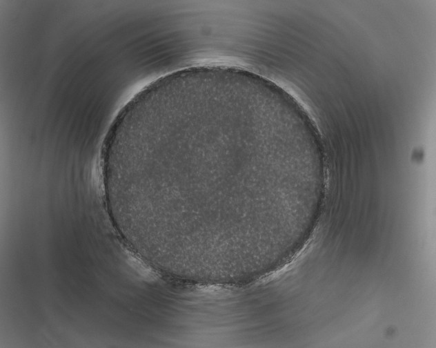 X0000116481022201001201338