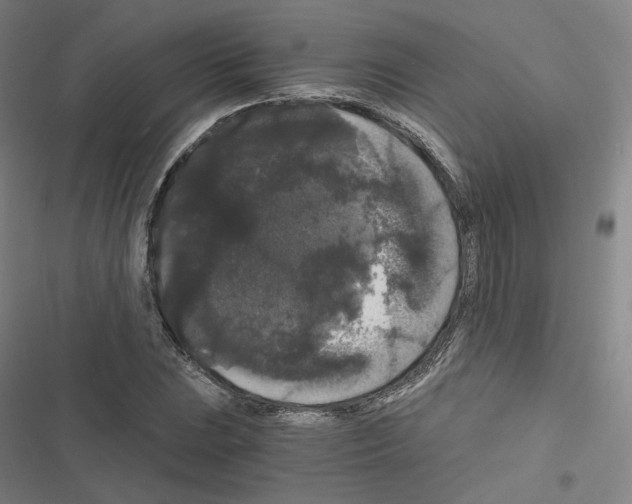 X0000116481023201001201338