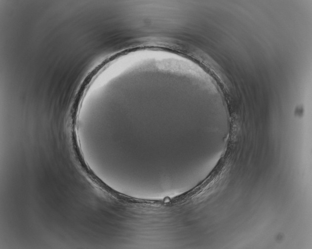 X0000116481024201001201338