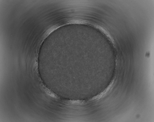 X0000116481025201001201338