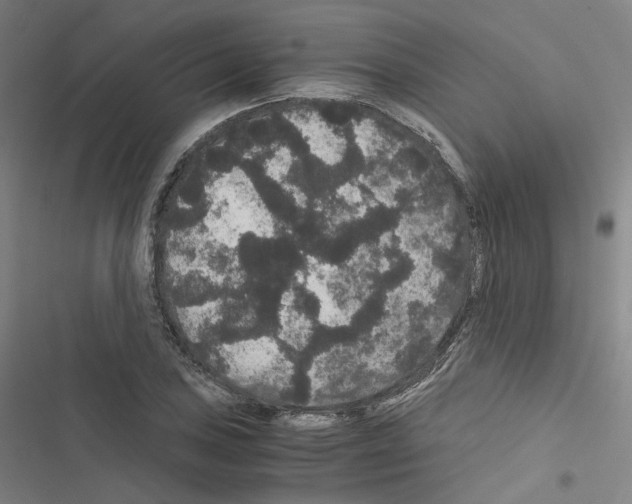 X0000116481027201001201338