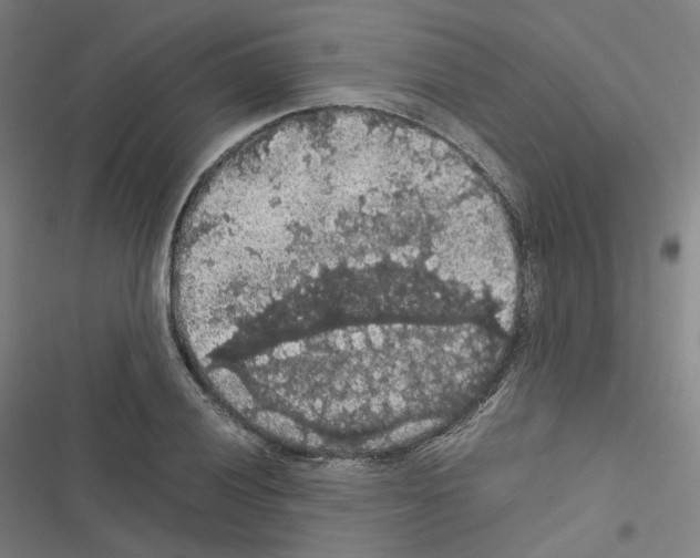 X0000116481028201001201338