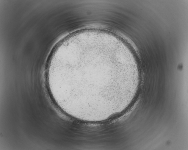 X0000116481029201001201338