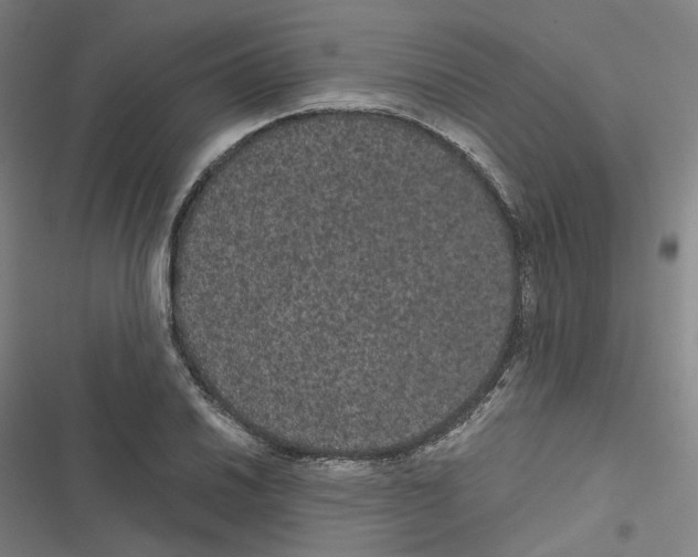 X0000116481030201001201338