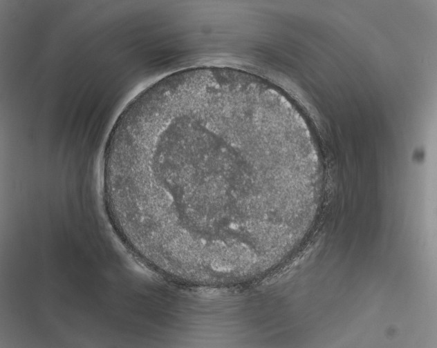 X0000116481032201001201338