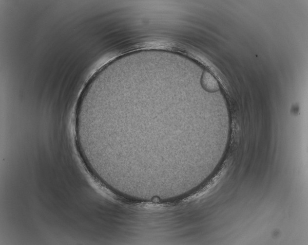 X0000116481034201001201338