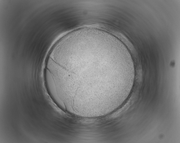 X0000116481036201001201338