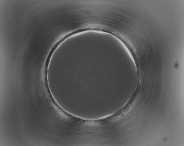 X0000116481037201001201338