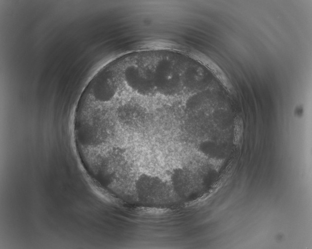 X0000116481039201001201338