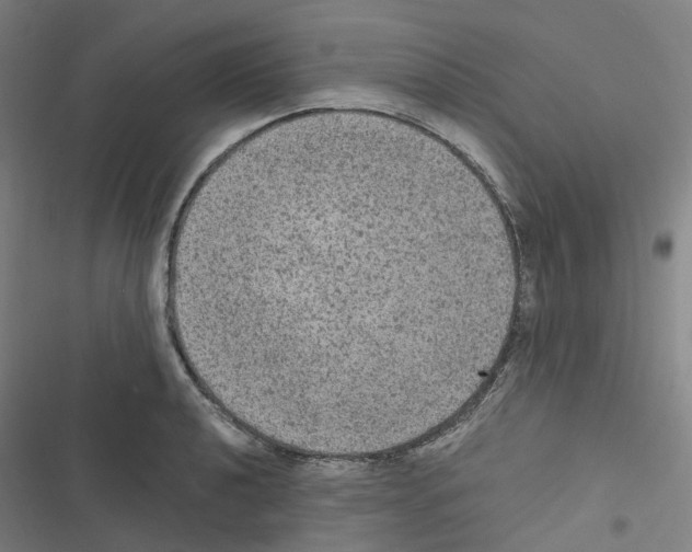 X0000116481040201001201338