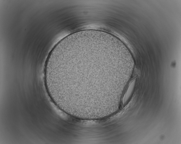 X0000116481042201001201338