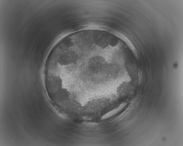 X0000116481043201001201338