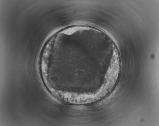 X0000116481045201001201338