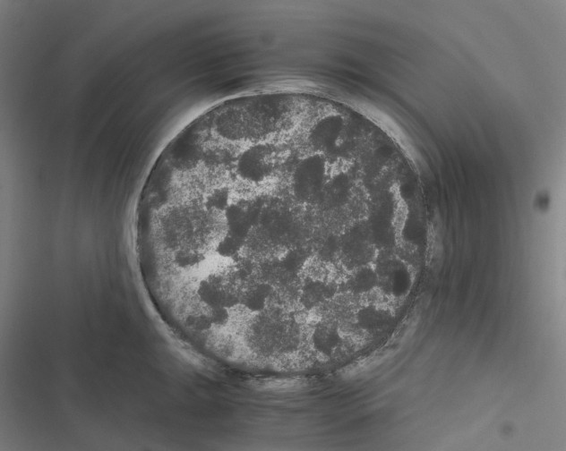 X0000116481047201001201338