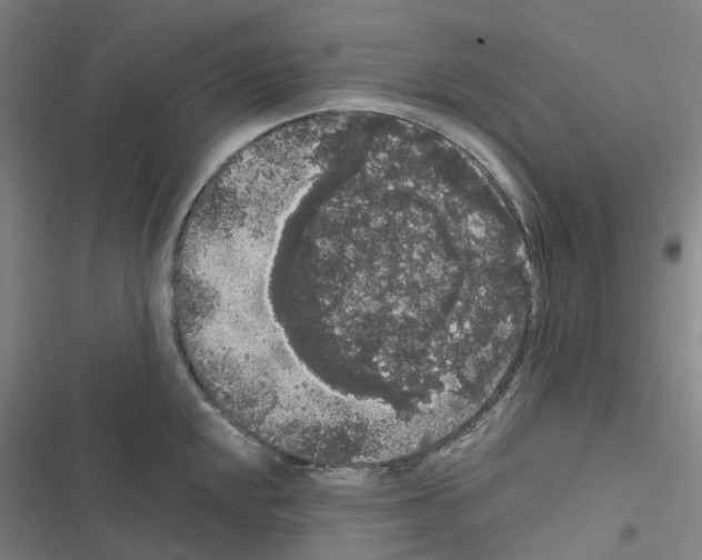 X0000116481048201001201338