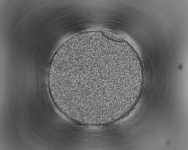 X0000116481049201001201338