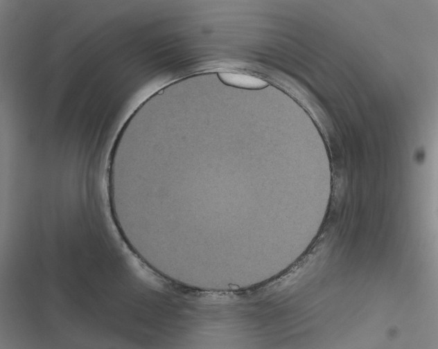 X0000116481050201001201338