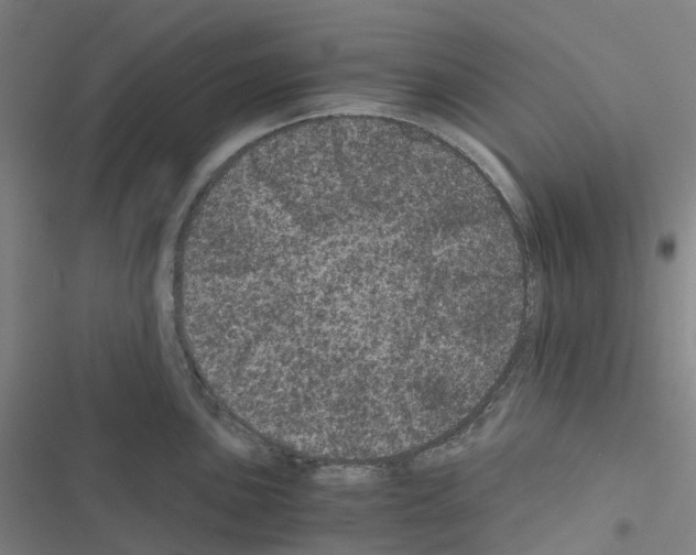 X0000116481051201001201338