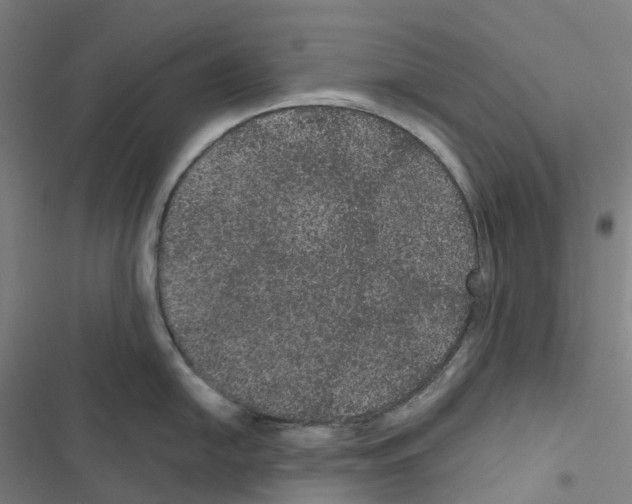 X0000116481054201001201338