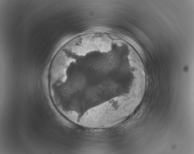 X0000116481055201001201338