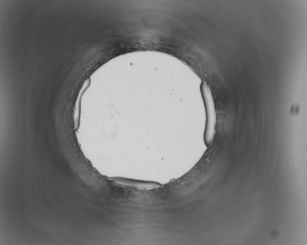 X0000116481057201001201338