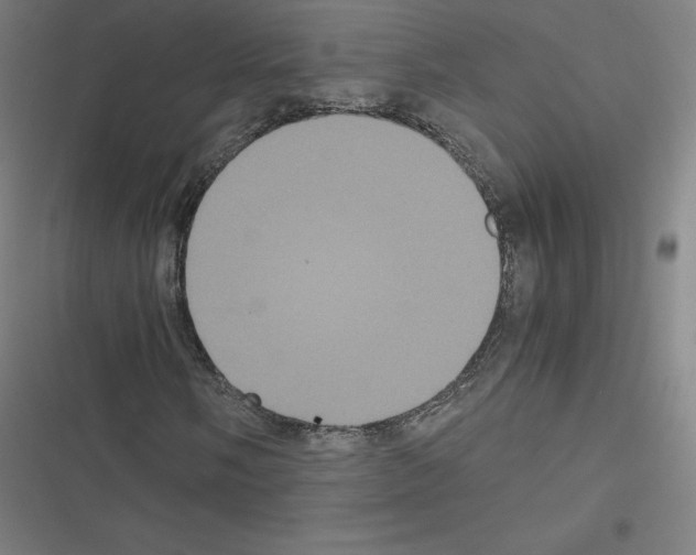 X0000116481058201001201338