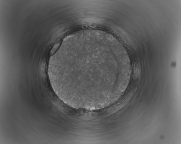 X0000116481060201001201337