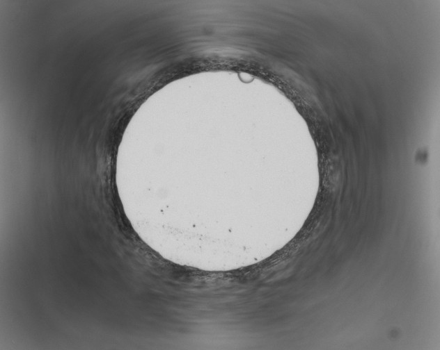 X0000116481061201001201337