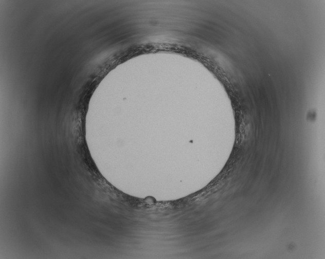 X0000116481062201001201337