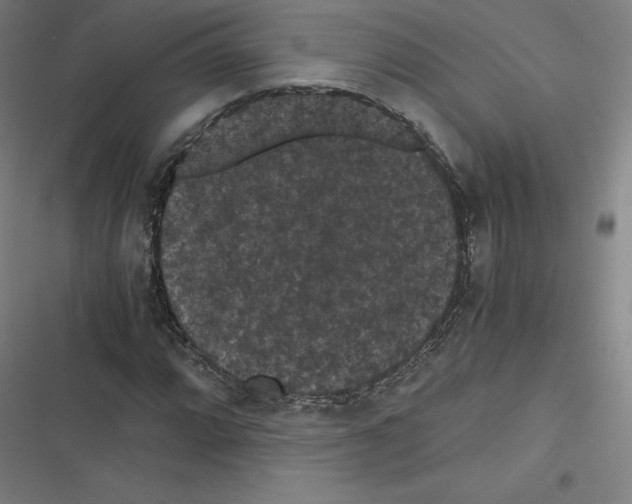 X0000116481064201001201337