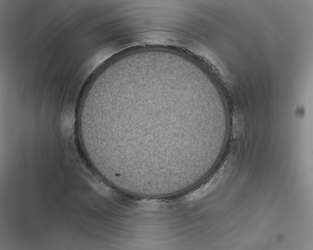 X0000116481065201001201337