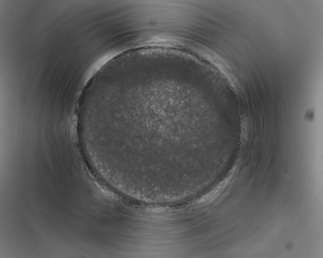 X0000116481066201001201337