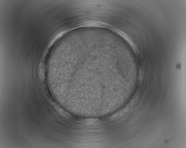 X0000116481067201001201337