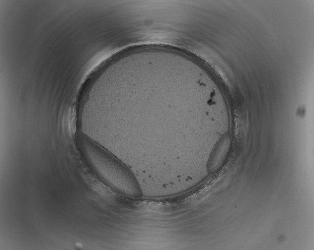 X0000116481069201001201337