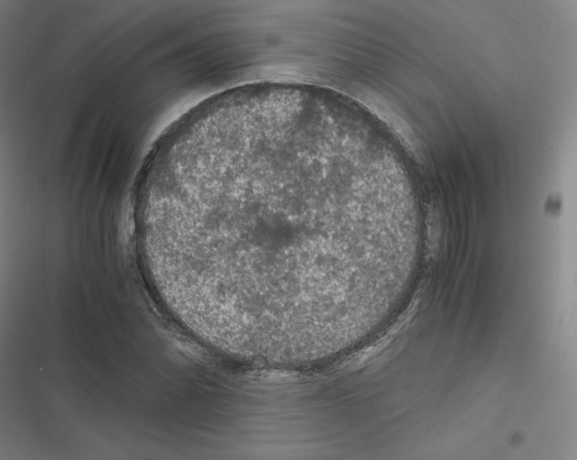 X0000116481070201001201337