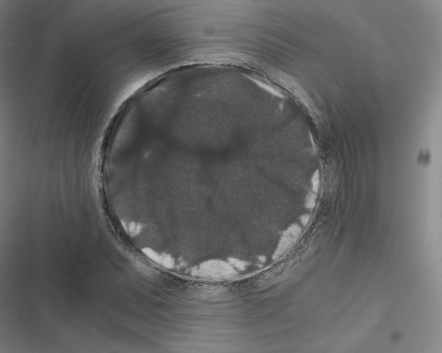 X0000116481071201001201337