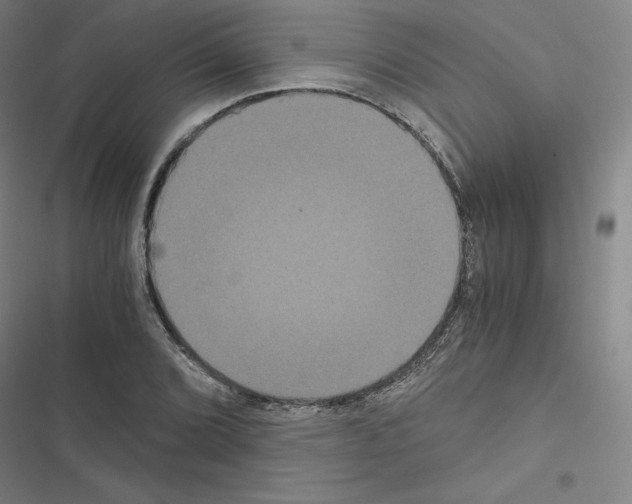 X0000116481072201001201337