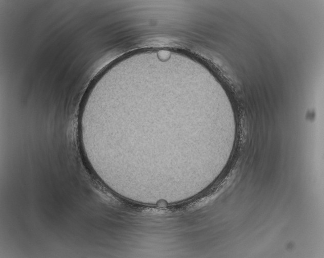 X0000116481073201001201337