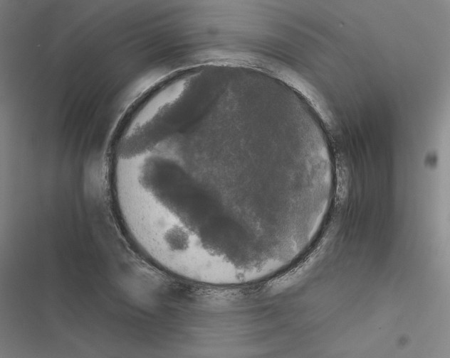 X0000116481074201001201337