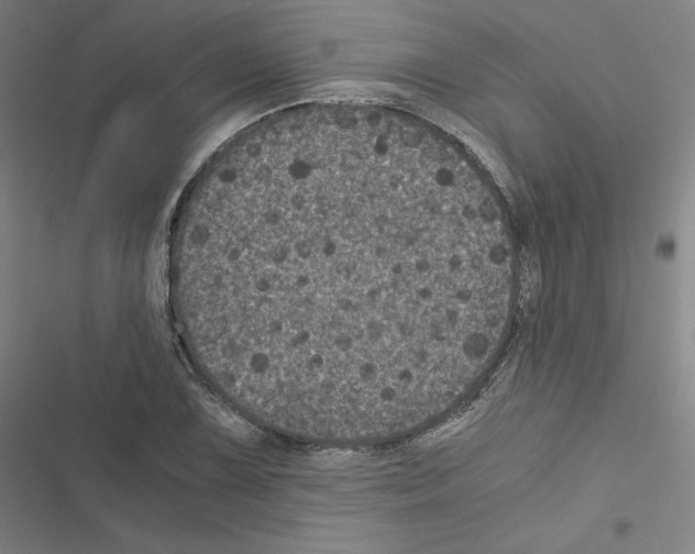 X0000116481075201001201337