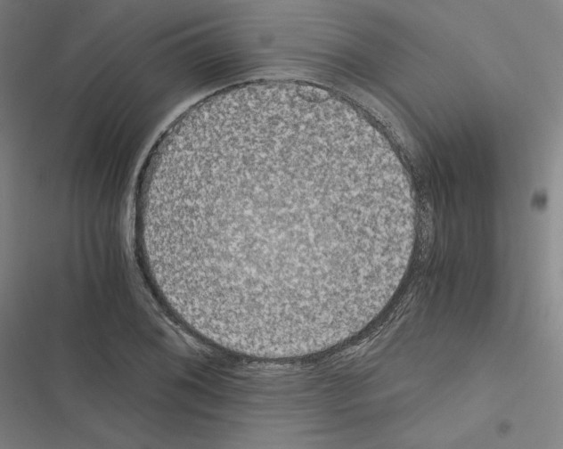 X0000116481076201001201337