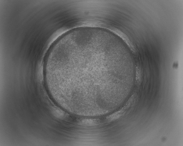 X0000116481078201001201337