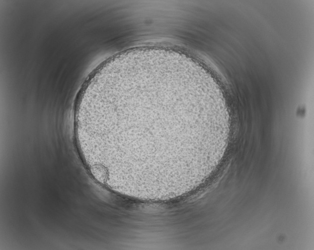 X0000116481079201001201337