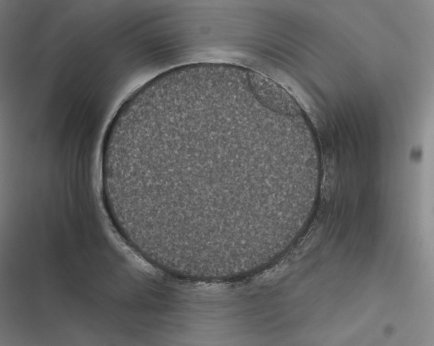 X0000116481080201001201337