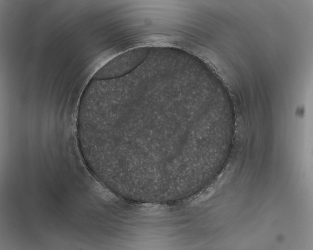 X0000116481081201001201337