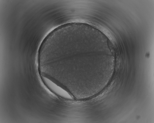 X0000116481084201001201337