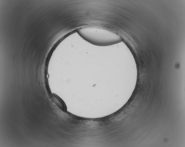 X0000116481085201001201337