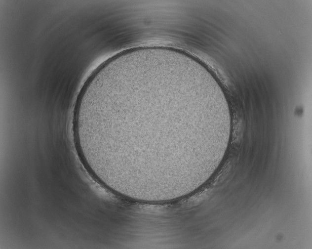 X0000116481086201001201337