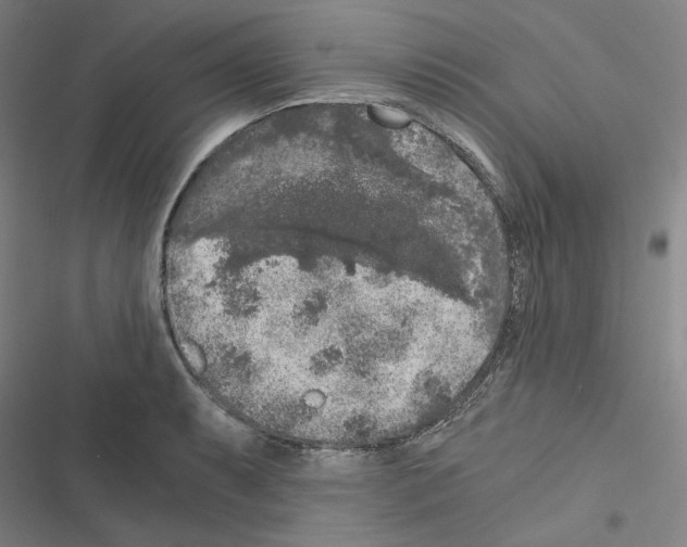 X0000116481087201001201337